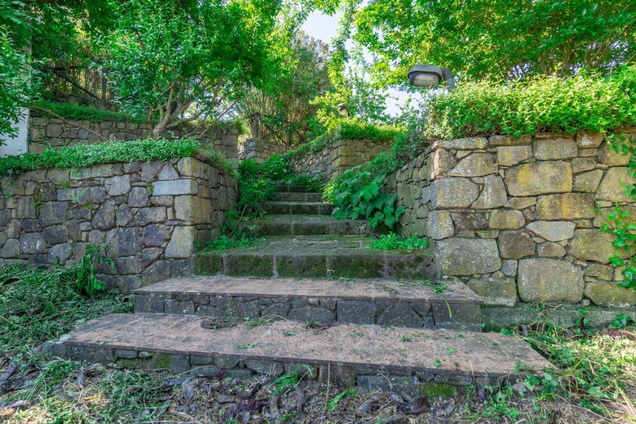 La Casa Medioevale Bed and Breakfast Lamporecchio Εξωτερικό φωτογραφία