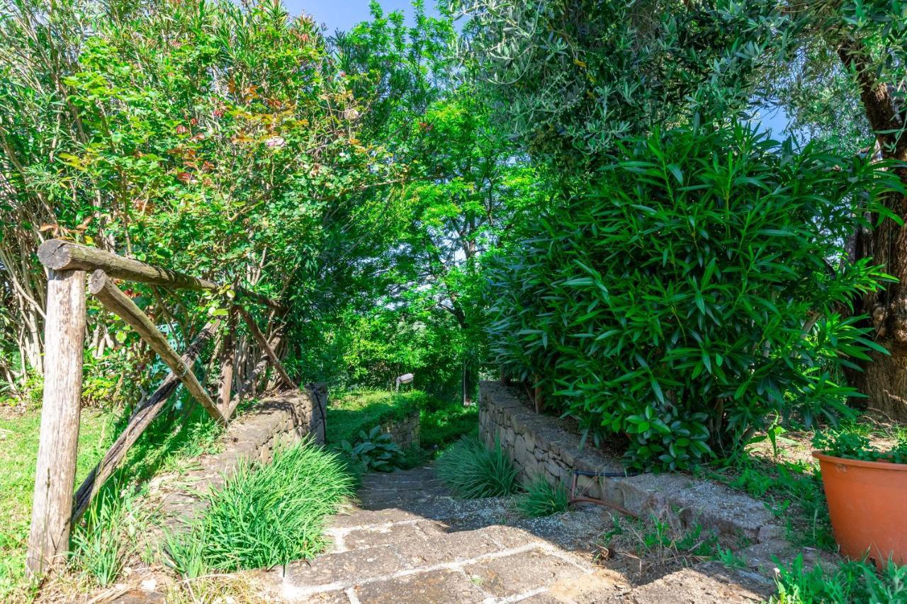 La Casa Medioevale Bed and Breakfast Lamporecchio Εξωτερικό φωτογραφία