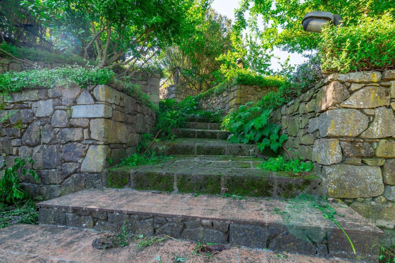 La Casa Medioevale Bed and Breakfast Lamporecchio Εξωτερικό φωτογραφία